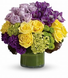 Simply Splendid from Metropolitan Plant & Flower Exchange, local NJ florist